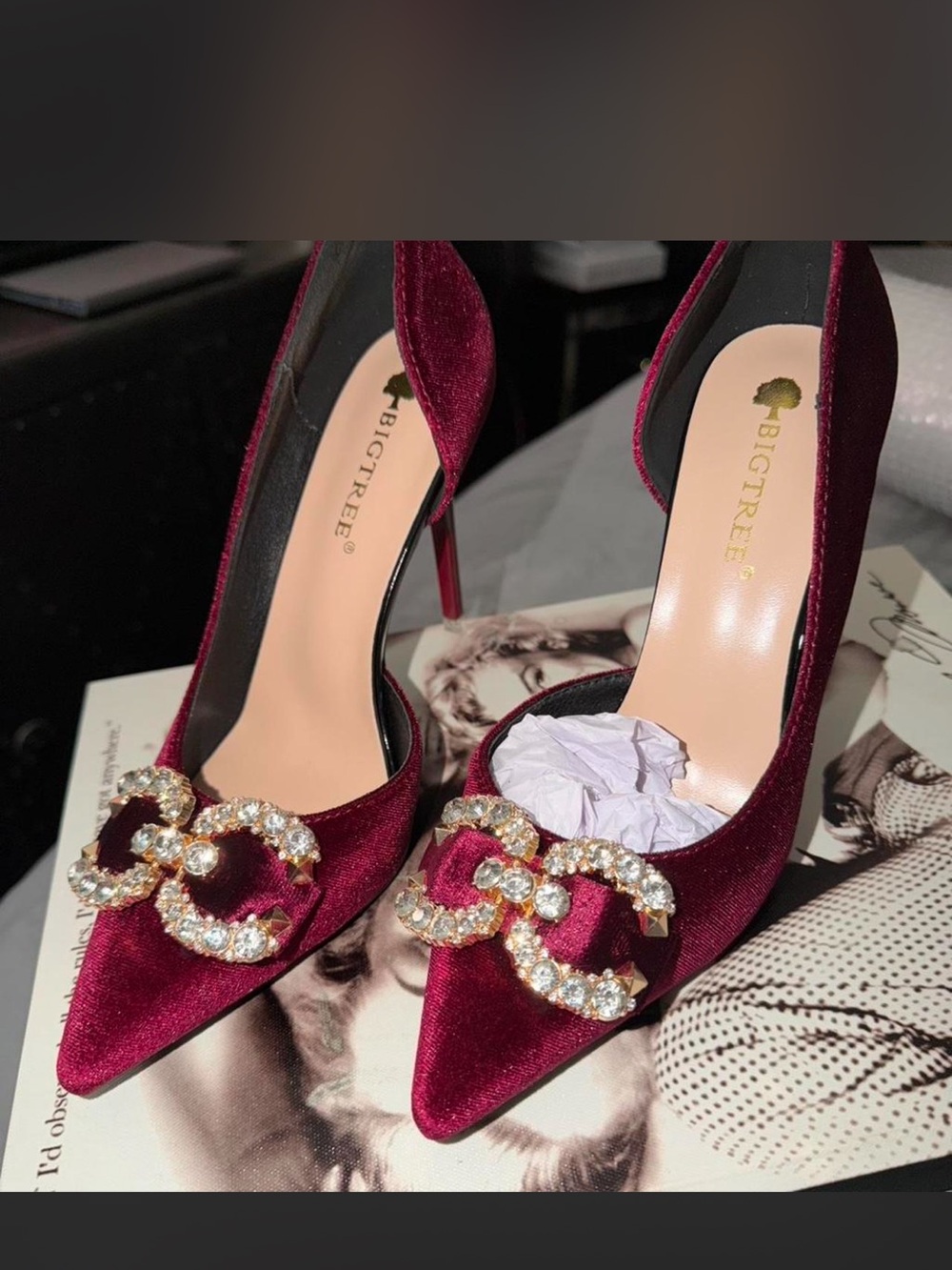 Women's Burgundy Velvet Pointed Toe Crystal Pumps